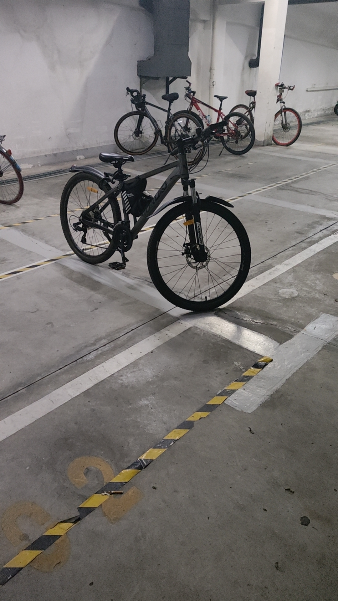 my_bike_2026_08_recent.png